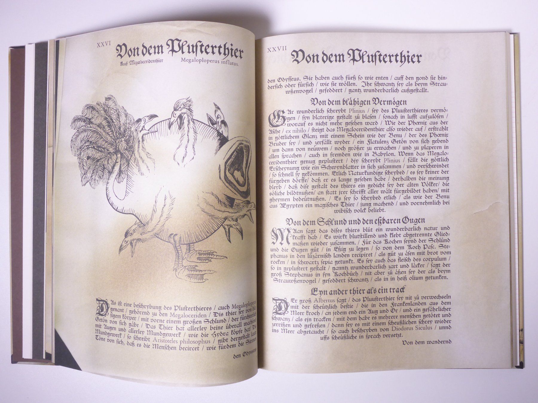 Bücher: Conrad Gessner 2 Titel – Gebraucht aus Erschwil von taglang 9