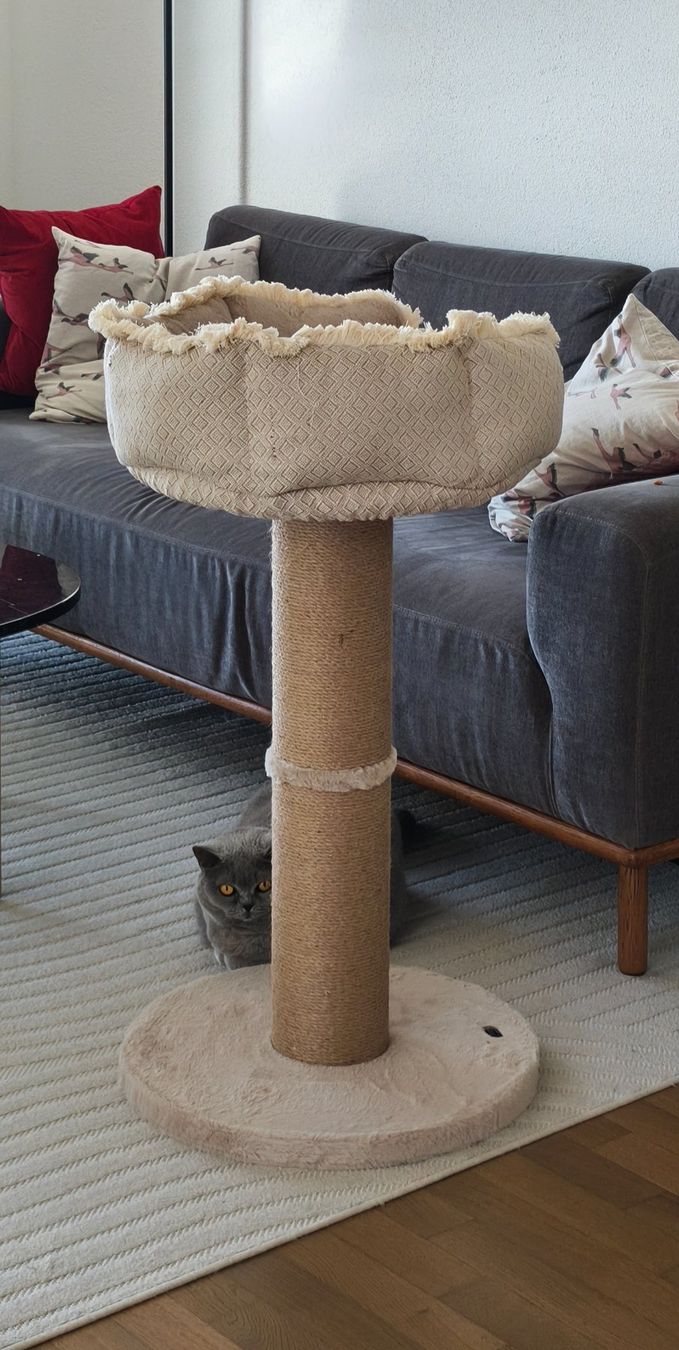 Katzenbaum - Kratzbaum: Trixie Kratzbaum "Boho" – Neu (gemäss Beschreibung) aus Niederrohrdorf von yan_zkz6 3