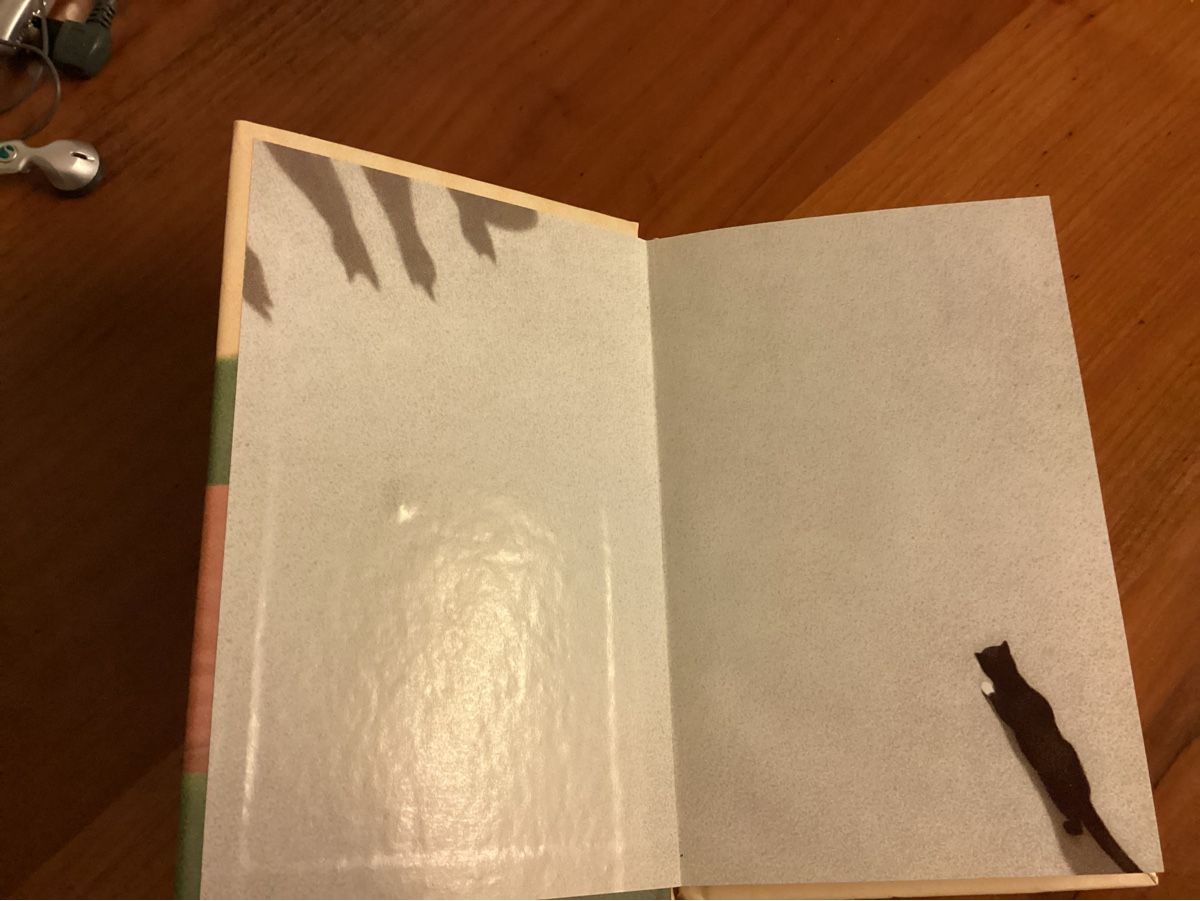 Libri: Nero Corleone Adressbüchli – Usato da Niederlenz venduto da lil_jxk8 2