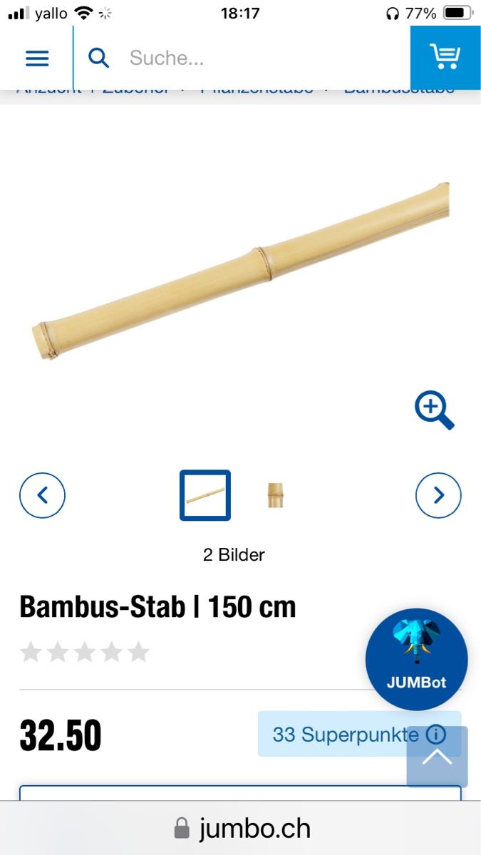 Tutte le decorazioni: Grosser Bambusstab – Nuovo (secondo la descrizione) da Zürich venduto da benebiene 2