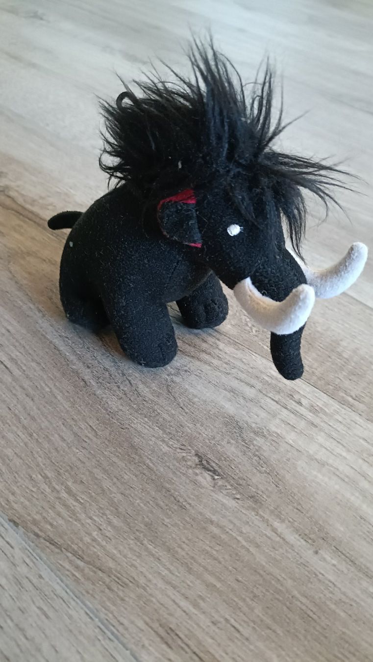Mammut Borse & Zaini: Kinderrucksack von Mamut – Usato da Lampenberg venduto da Marcotin01 4