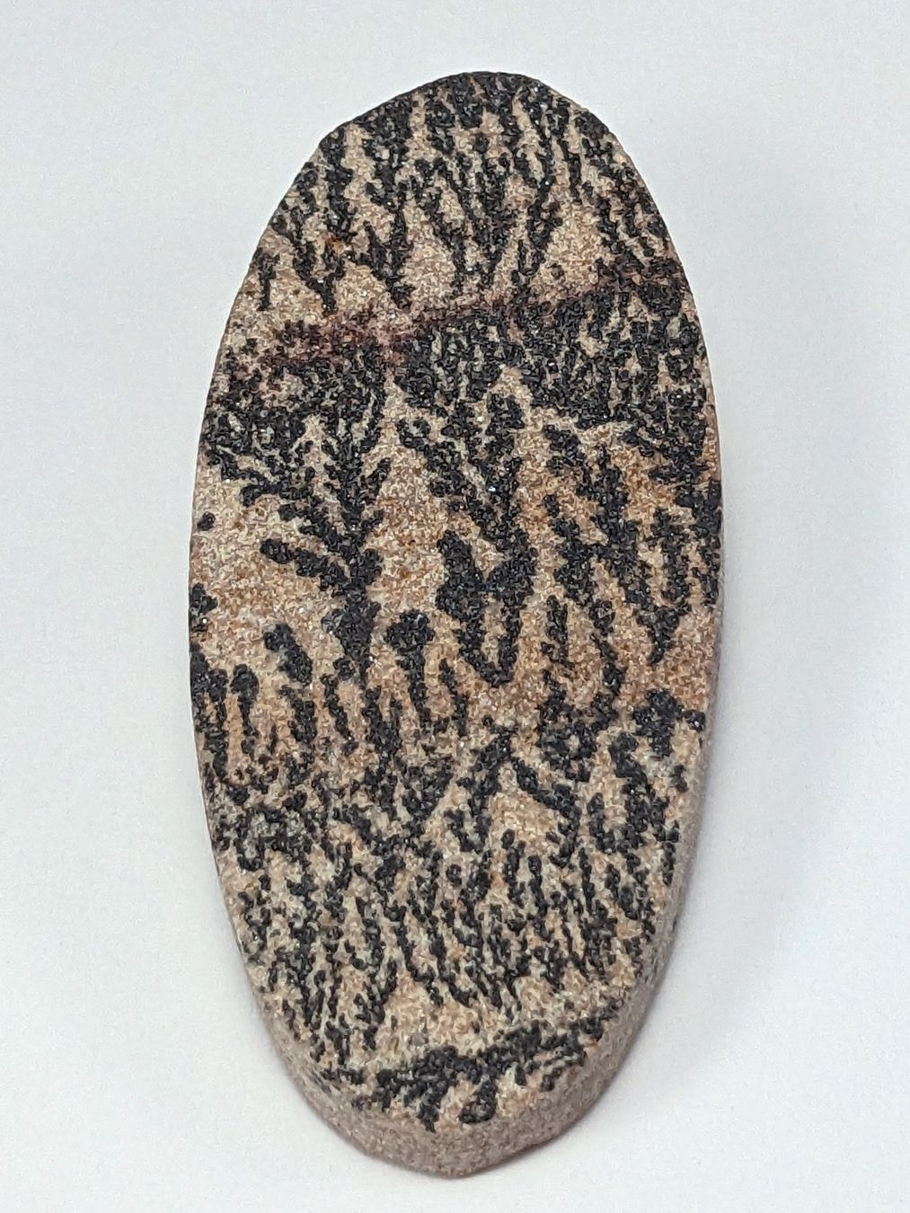 Minéraux & Lithothérapie: Dendritenkalk/Psilomelan Stein 52mm – Neuf avec emballage d'origine à Meilen par StoneGarden