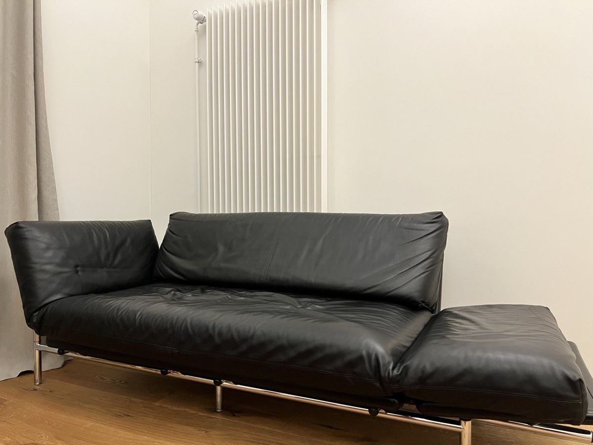Divani: Dema Italy Ledersofa – Usato da Goldau venduto da car_8v8h