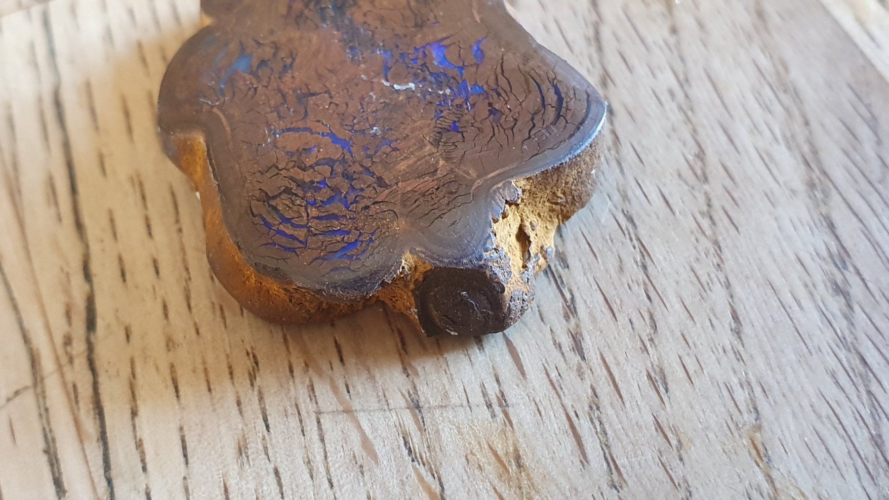 Fossili: Boulder Opal – Usato da Flawil venduto da Pinkmalibu 7