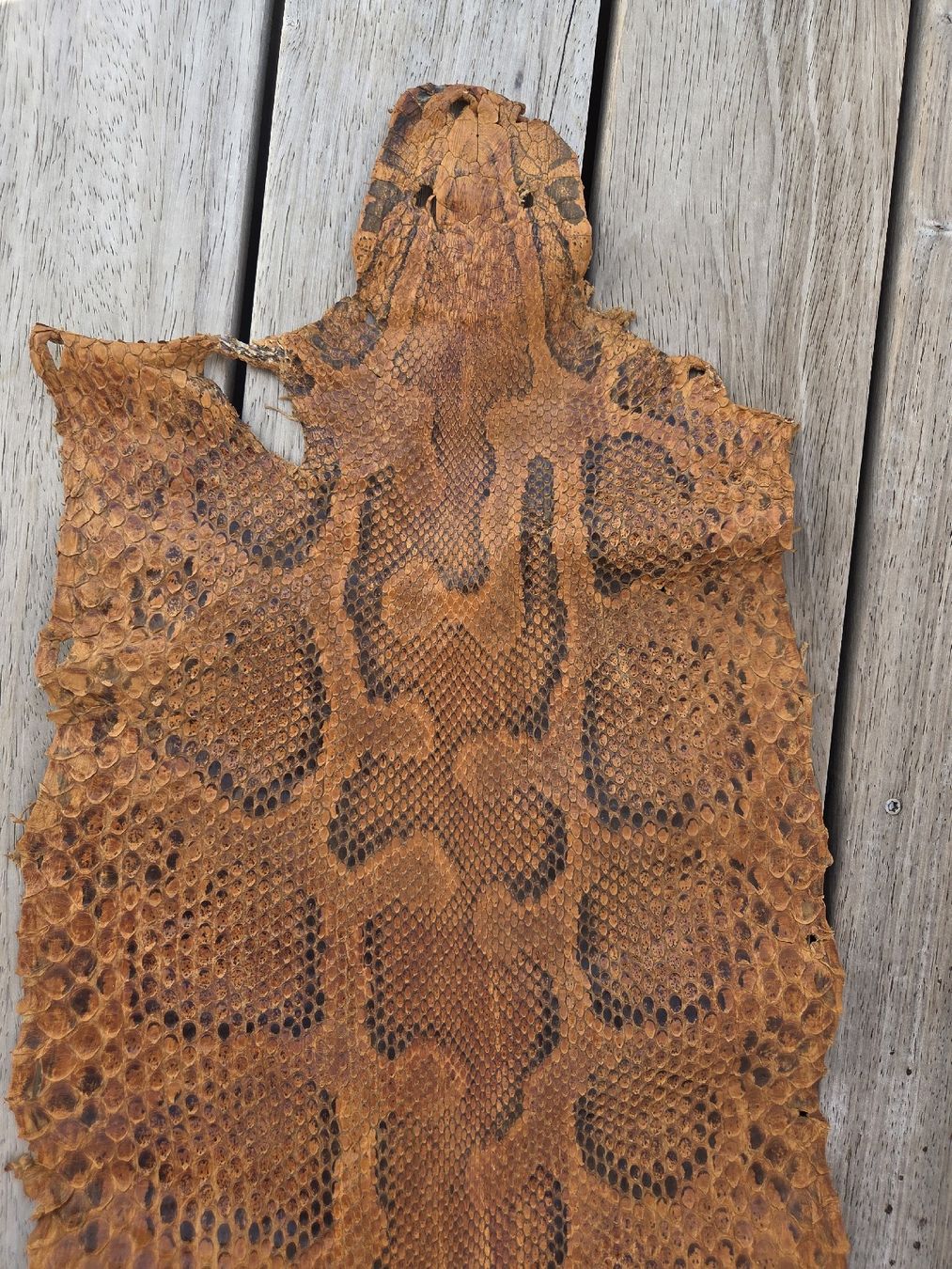 Tessuti: Schlangenhaut Python braun gemustert ca. 450 cm – Nuovo (secondo la descrizione) da Kreuzlingen venduto da gogi3 9