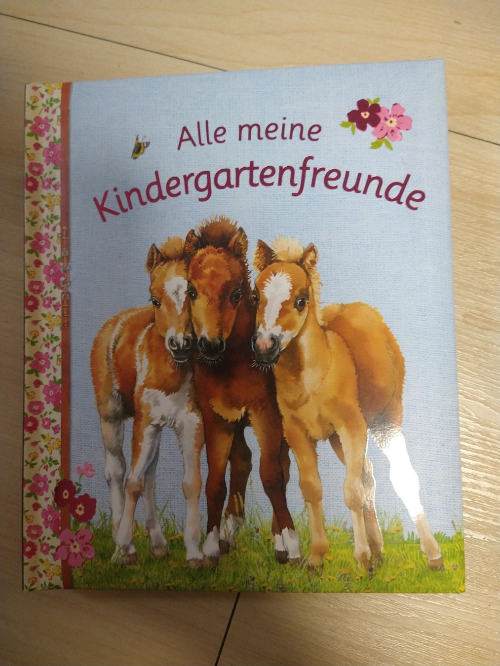 Libri: Freundebuch Kindergarten – Nuovo (secondo la descrizione) da Bätterkinden venduto da livingdreams