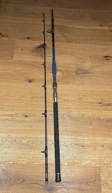 Canne da pesca: Top Welsrute – Usato da Kaisten venduto da tho_l56l