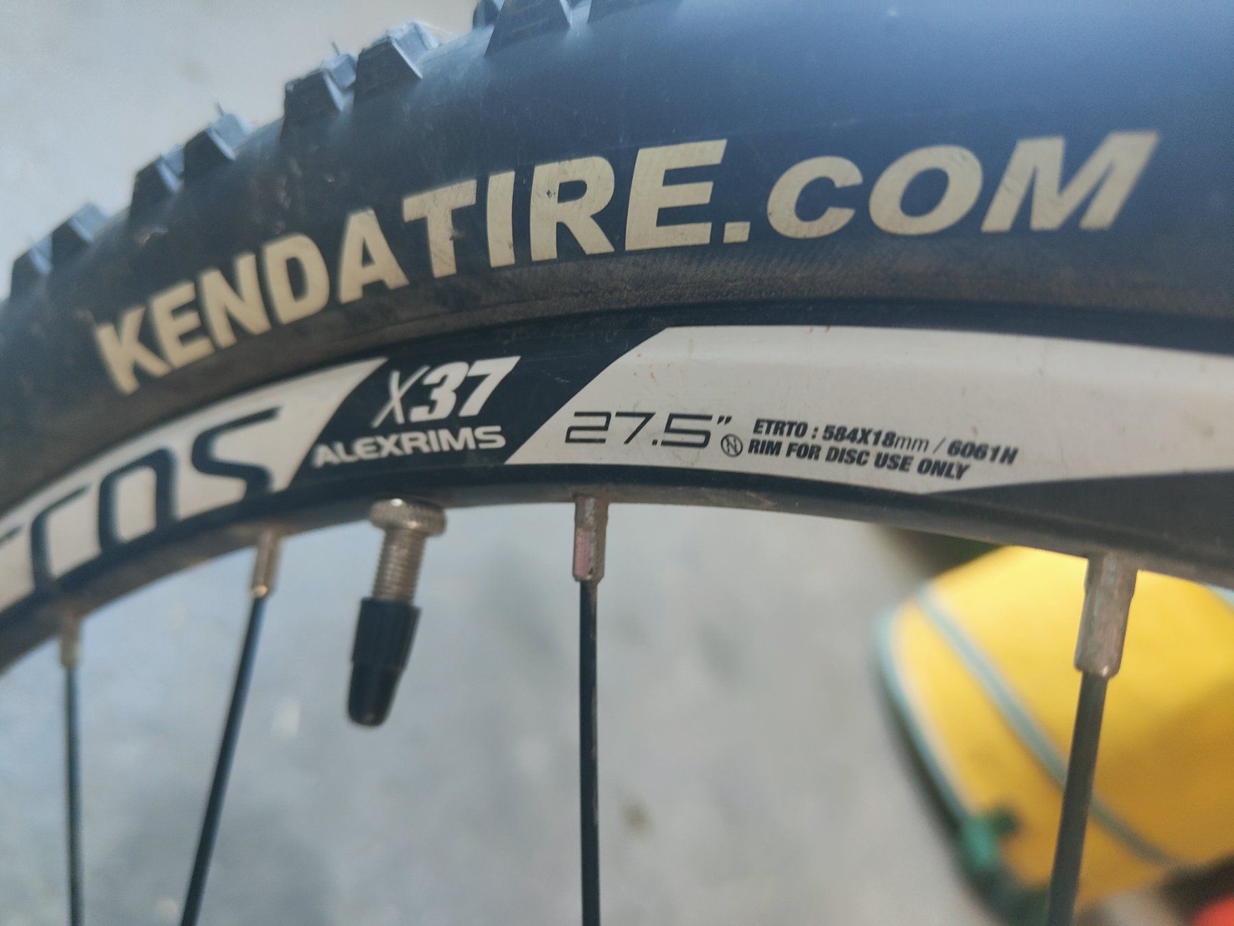 Biciclette: Fahrrad Scott Contessa 740 – Usato da Neuenkirch venduto da JALAHA