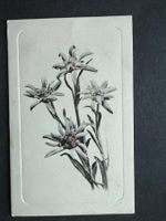 AK 1912 Prägekarte Edelweiss gelaufen (G3804)