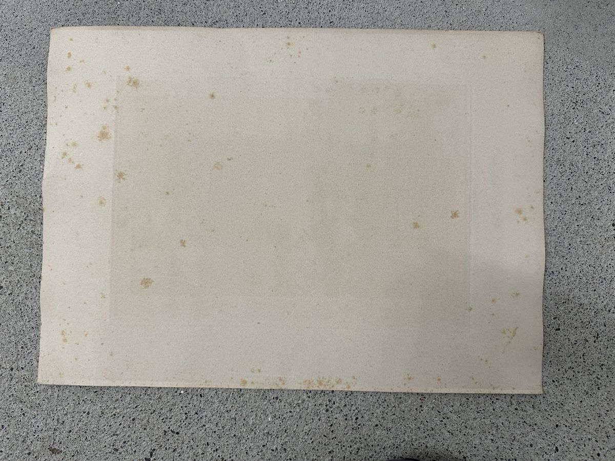 Foto & Immagini: Albert Anker Heliographie Der Wunderdoktor – Usato da Ebikon venduto da Gaenggeliwaar 5