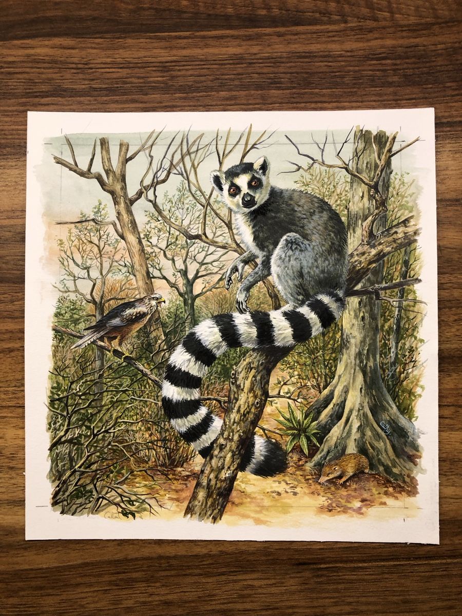 Dipinti: Original Bild Katta, handgemalt – Usato da Versoix venduto da chr_2rpz