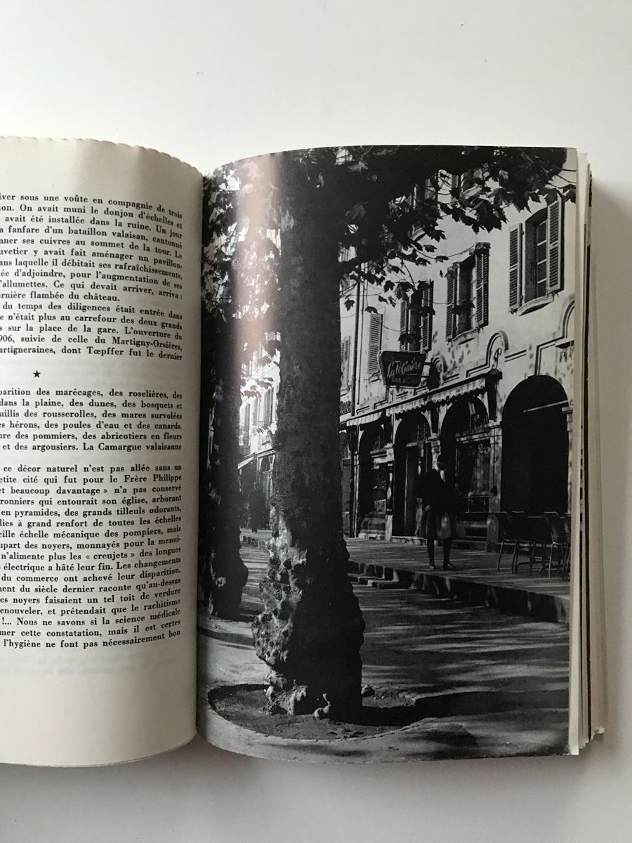 Livres: Livre “Pérégrinations Valaisannes” – D'occasion à Villeneuve VD par sim_q5hp 6