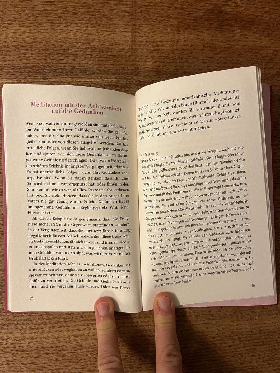Bücher: Immunbooster Meditation U. Richard – Gebraucht aus Rhäzüns von duudii 1