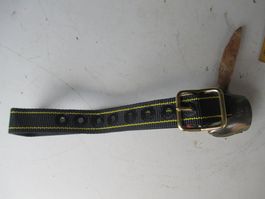 Treichel mit neuem Riemen