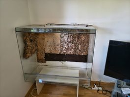 Grosses Glasterrarium 10x200x60