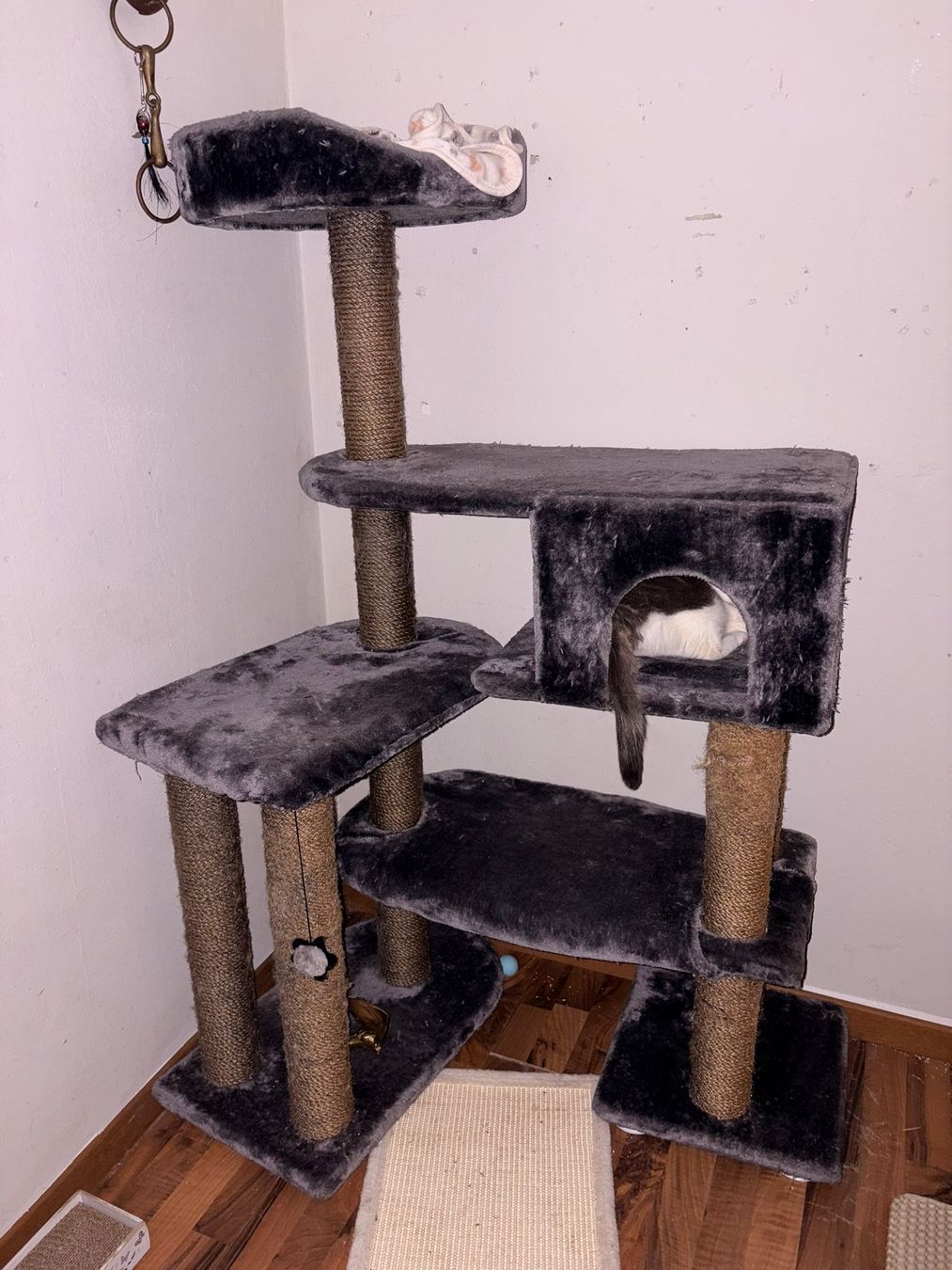 Katzenbaum - Kratzbaum: katzen baum  – Gebraucht aus Wikon von casares