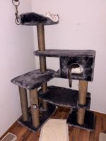 katzen baum 