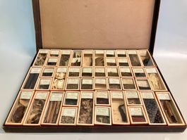 Historische Kräutersammlung der Drogisten-Akademie um 1900