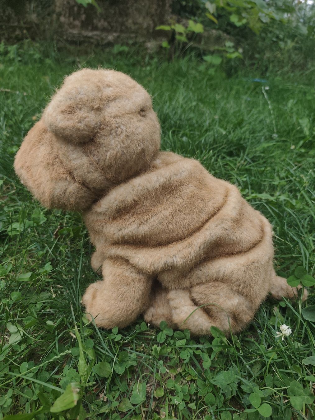 Spielzeuge: Shar-pai Hund Plüschtier  – Gebraucht aus Wald ZH von Enyafay 3