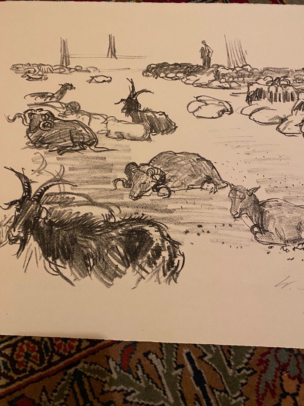 Grafica & Litografie: Walter Sautter Lithographie – Usato da Münchwilen TG venduto da Mercurius63 1