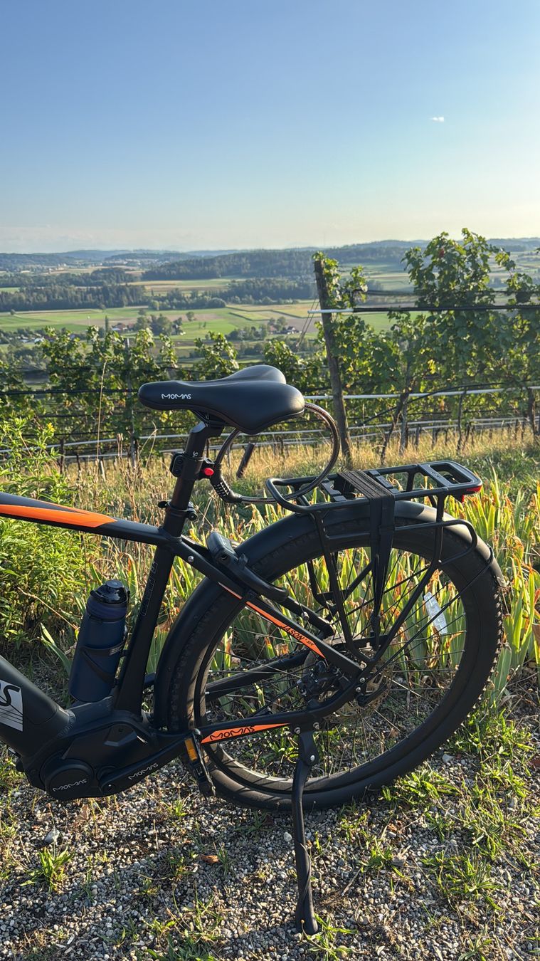 Velos: MOMAS E-BIKE JASON+ SUV XL – Neu (gemäss Beschreibung) aus Frauenfeld von iphone6
