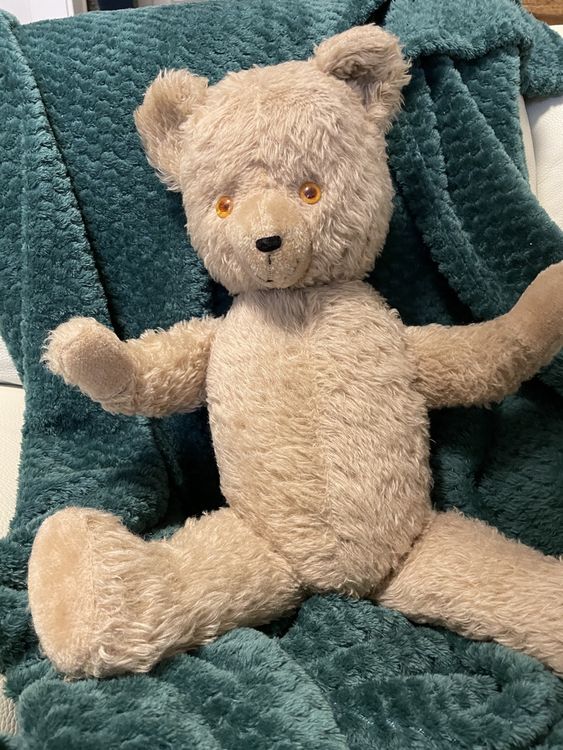 Les avantages d'avoir un ours en peluche - Accueil - | Actualités et Infos en France et