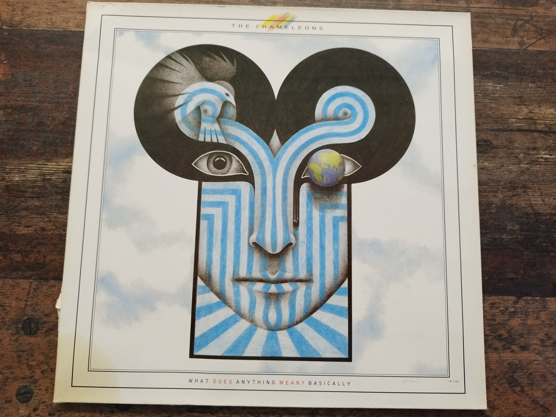 Dischi in vinile: The Chameleons - What Does Anything Mean? - Vinyl – Usato da Lupfig venduto da fred-feuerstein