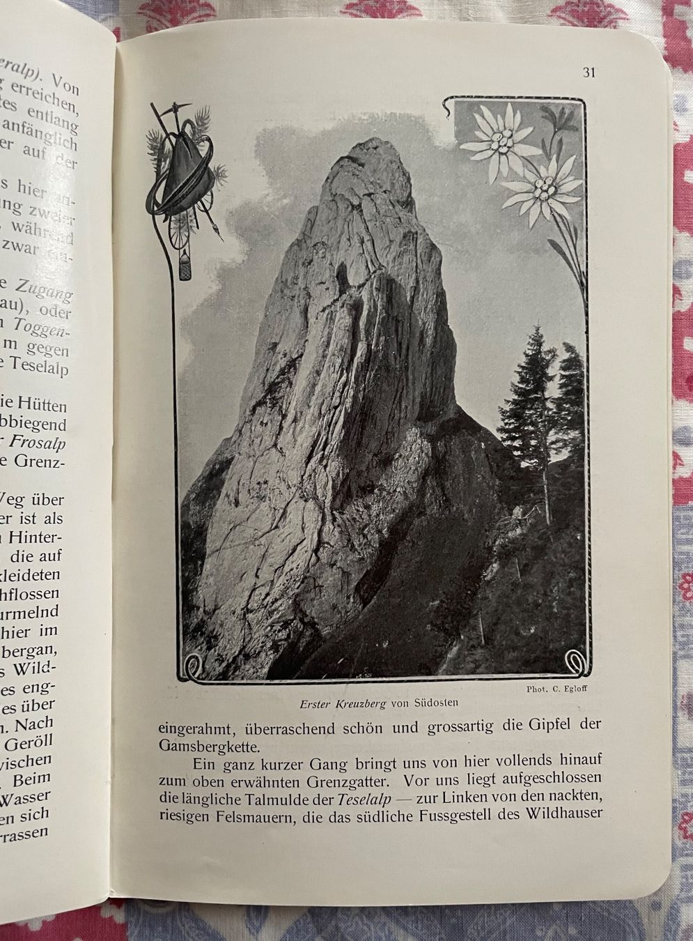 Libri: Das Säntis-Gebiet – Usato da Ebnat Kappel venduto da jostuka 2