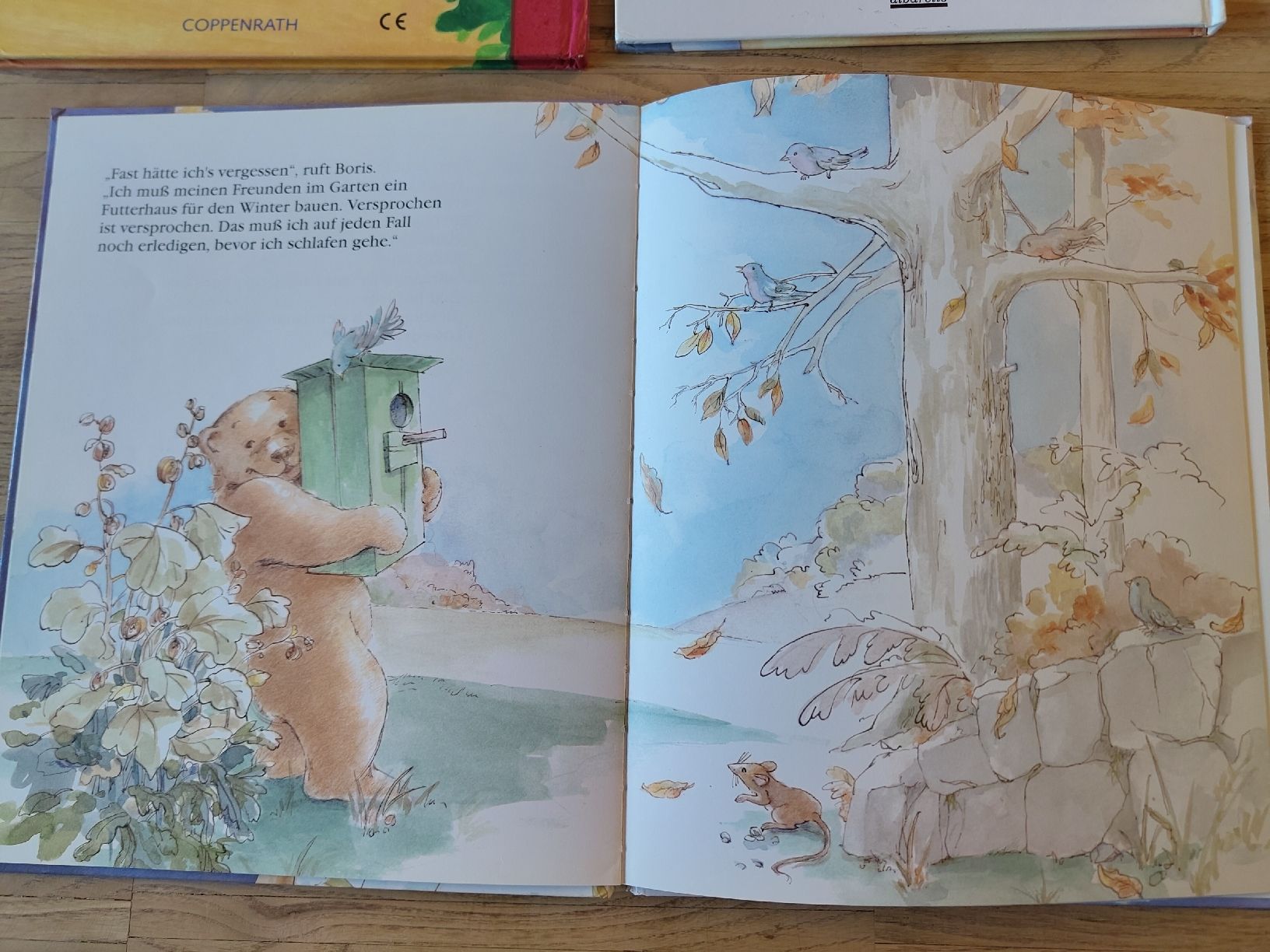 Bücher: 4 tolle Kinderbücher / Bilderbücher – Gebraucht aus Pratteln von Malvea 3