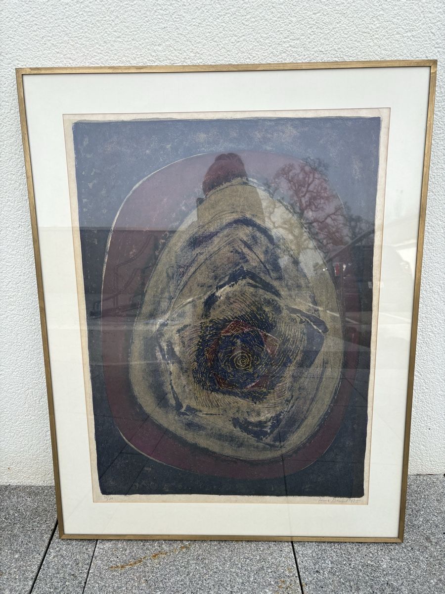 Arts picturaux & lithographies: Lithographien Irma Bamert – D'occasion à Schönenberg ZH par Roxana8820 4