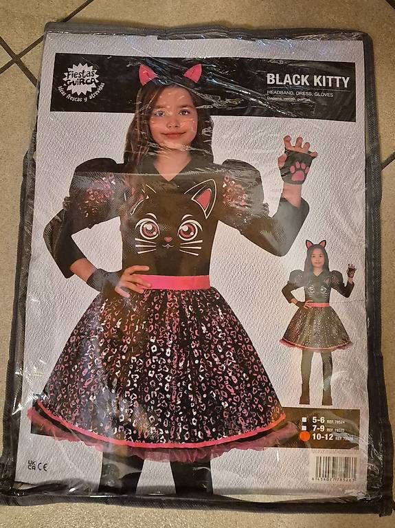 Costumi: Vestito carnevale bambina – Usato da Vacallo venduto da for_Alessandra78 1