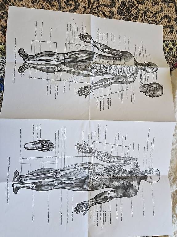 Bücher: Précis d'Acupuncture Chinois – Gebraucht aus Morrens VD von emyjoie 1