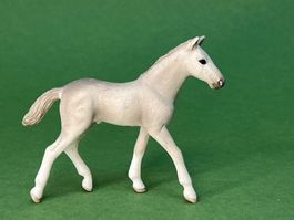 Schleich Hengstfohlen Holstein - 13860 Pferd Fohlen