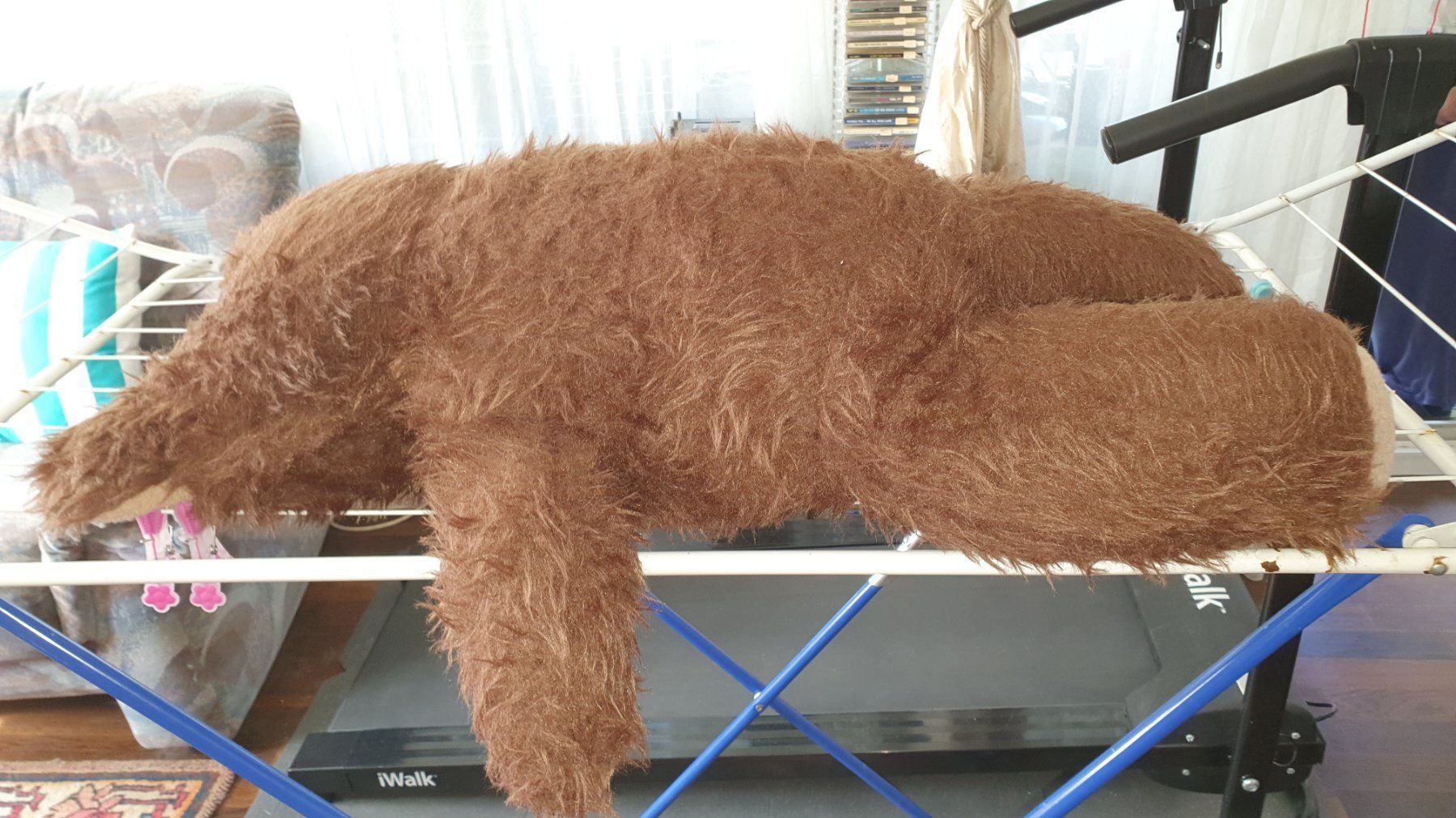 Il mondo degli animali: Teddybär – Usato da Villmergen venduto da stier74 1