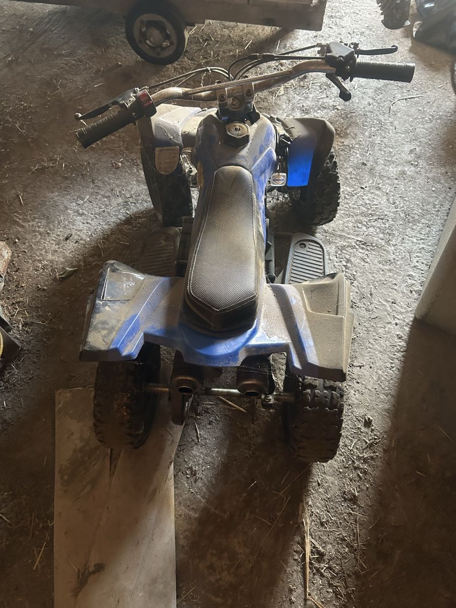 Mini Quads: Quad Poketquad Kinder – Defekt aus Buchberg von Hardy86 1