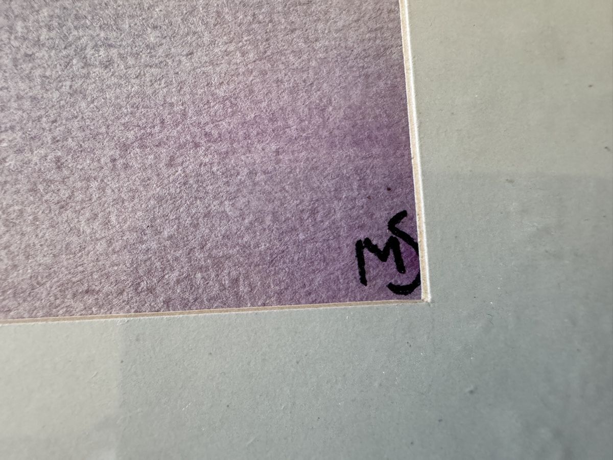 Dipinti: Max Staub: Aquarell Blumenbild, gerahmt, signiert MS – Usato da Erstfeld venduto da Mario_boe0 4