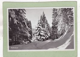 Turbachtal