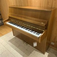 Sabel — 120cm Nussbaum Occ.