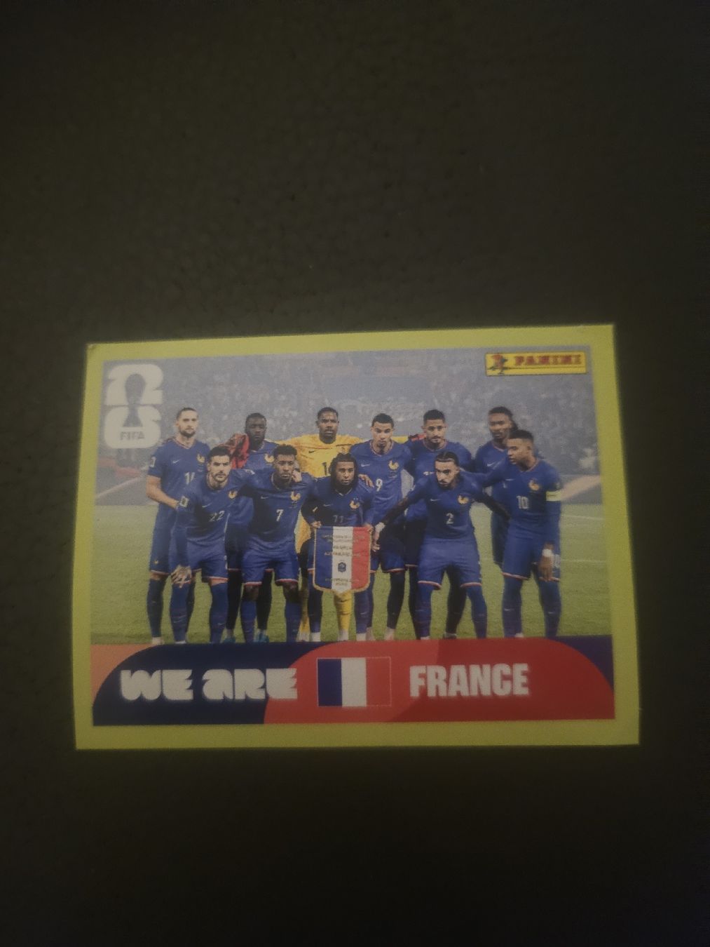 Panini Carte collezionabili: panini FRA 13  – Nuovo (secondo la descrizione) da Croy venduto da sylvie1350