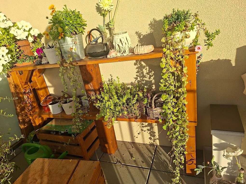 Bancs: Bancs en bois – D'occasion à Farvagny-le-Petit par Veromai 3