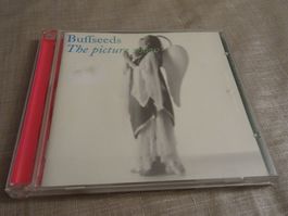 Buffseeds - The Picture Show - CD Album - Sehr Gut!