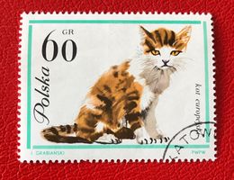 Briefmarken aus Polen  gestempelt.  Siehe Original Fotos. ﻿ 