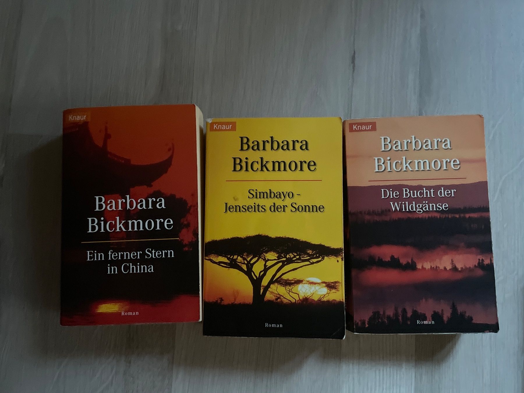 Bücher: 12 Bücher Barbara Bickmore / Susan Wiggs usw. – Gebraucht aus Kappelen von Waloga 1