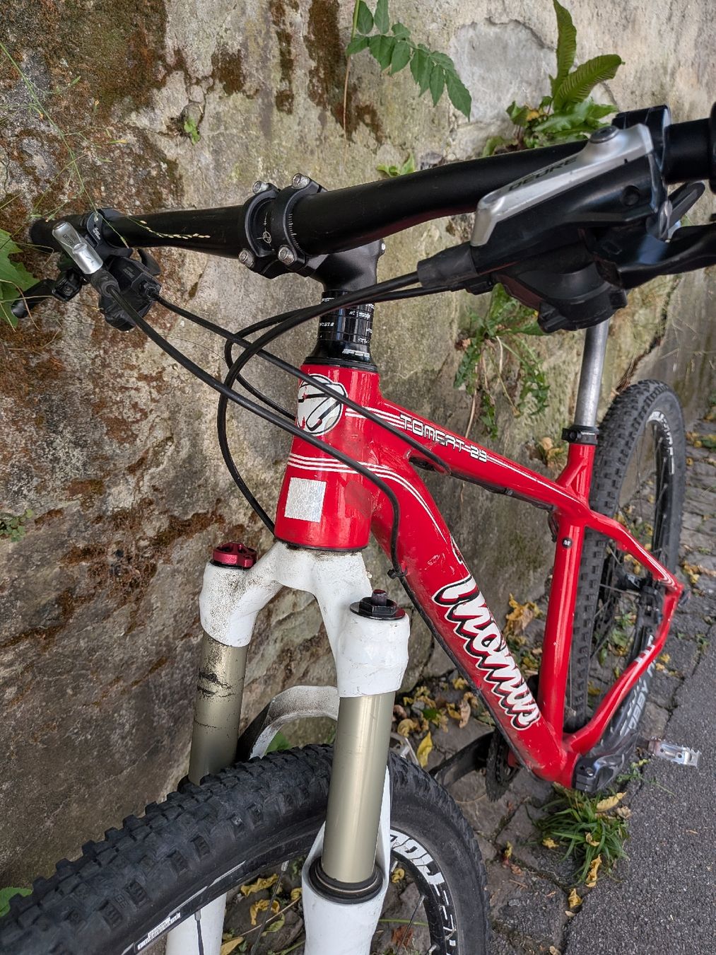 Thömus Biciclette: Thömus Bike – Usato da Bern venduto da Runner007 2