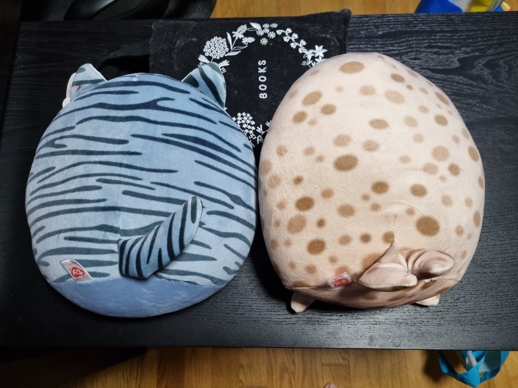 Ty Jouets: 2 Squieshy beanies – Neuf (Voir description) à Waltenschwil par Larache90 1