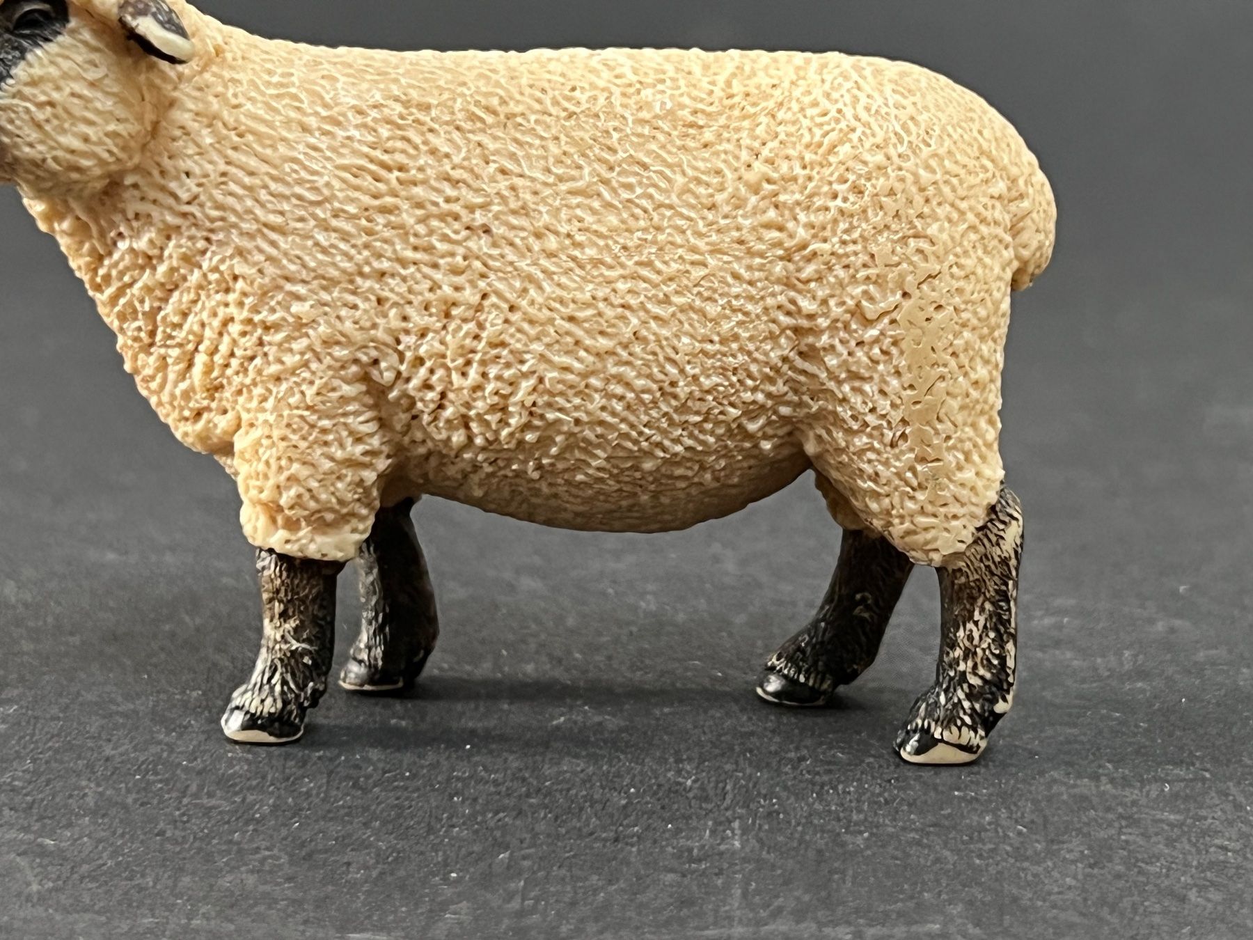 Schleich Figuren: Schleich 13681 Shropshire Schaf – Gebraucht aus Ennetbaden von mapa05 8