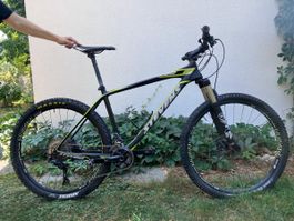 Stevens Sonora 2016 Jahrgang