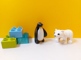 LEGO DUPLO 10501 Polartiere Pinguin, Eisbär-Baby - Komplett