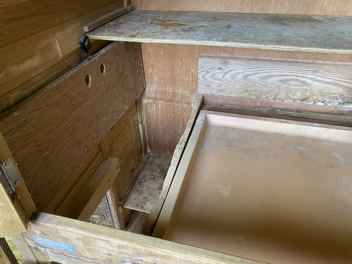 Cages, transport & sécurité: Kaninchenstall /Meerschweinchenstall mit automatischer Tür – D'occasion à Buus par van03 4