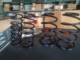 Fahrwerksfedern Federn Ford Focus ST DA3
